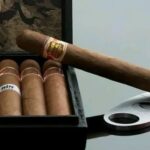 Jember: Surga Cerutu yang Menembus Pasar Global